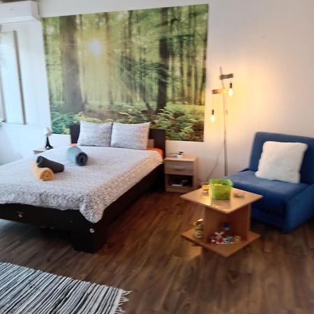 Car Lazar Apartment เบลเกรด ภายนอก รูปภาพ