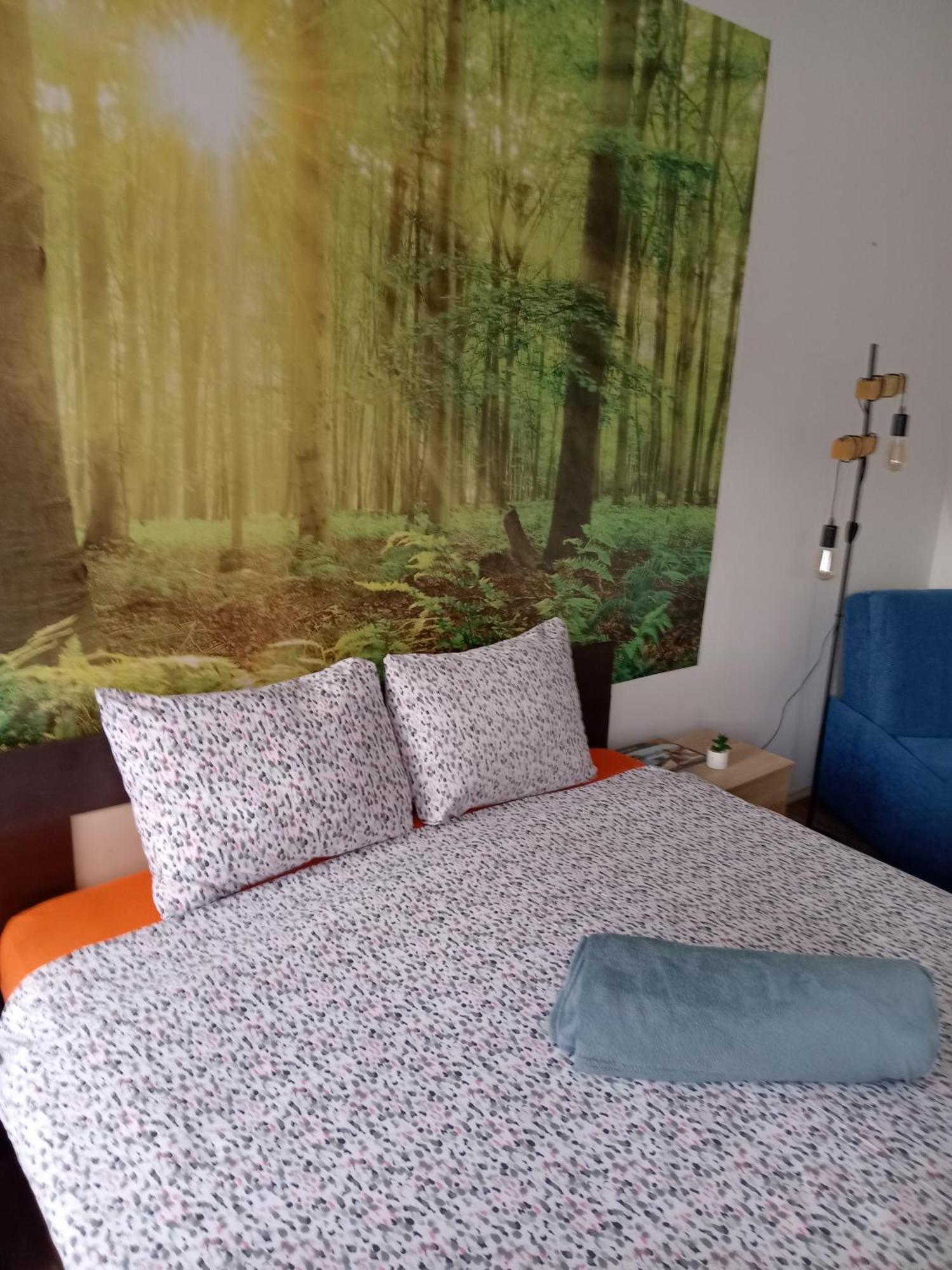 Car Lazar Apartment เบลเกรด ภายนอก รูปภาพ