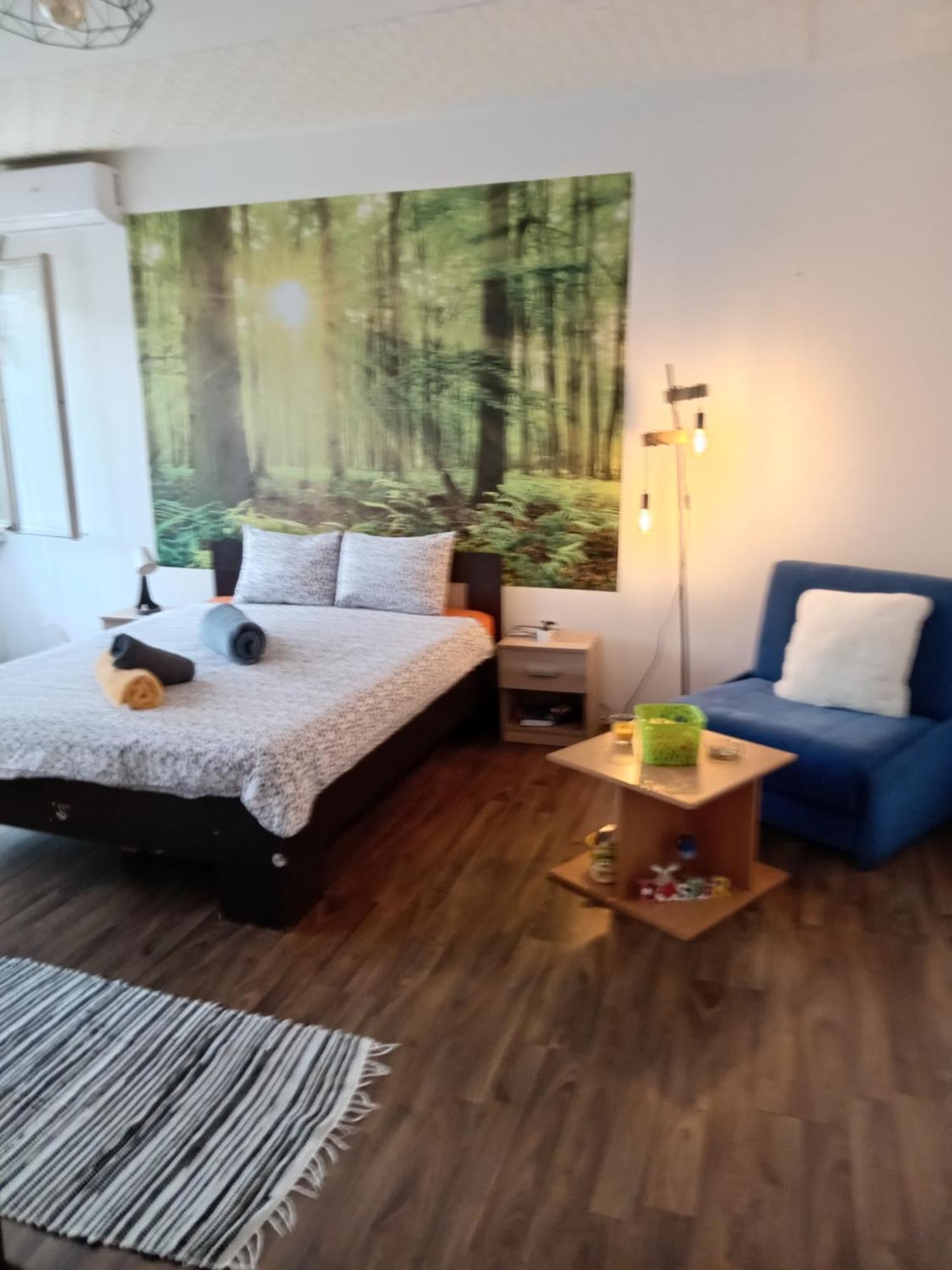 Car Lazar Apartment เบลเกรด ภายนอก รูปภาพ